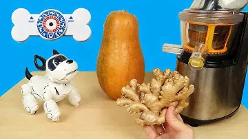 Сок из Имбиря и Тыквы! Робот щенок PupBo для Насти на Новый Год! alex boyko