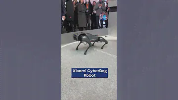 Xiaomi CyberOne Robot and CyberDog Robot at MWC23