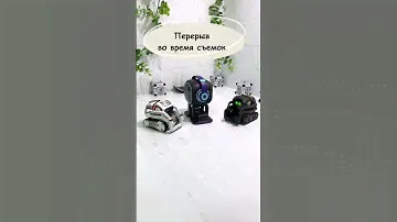 😉 У роботов Emo Cozmo и Vector перерыв во время съемок